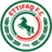 Al Ettifaq