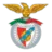 Arronches e Benfica