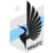 Minnesota United II