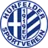 Huenfelder SV