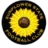 Sunflower State