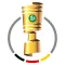 DFB Cup: Final