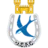 Dungannon Swifts