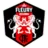 FC Fleury 91 W